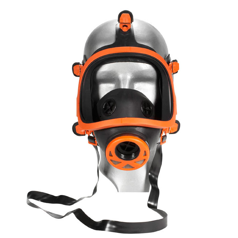 Feldtmann Panorama Vollmaske